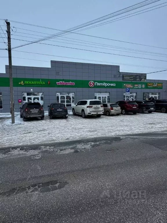 Помещение свободного назначения в Новосибирская область, Новосибирский ... - Фото 1