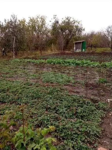 Купить Дачу В Приморке Неклиновского Района