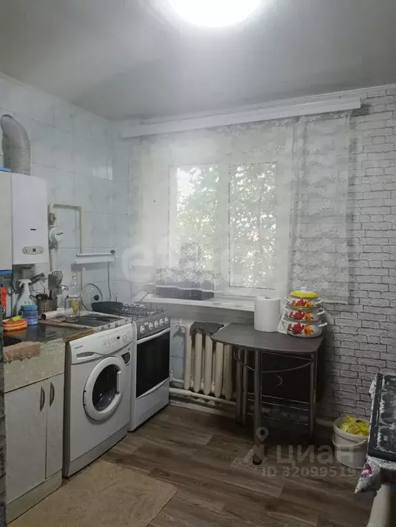 2-к кв. Белгородская область, Вейделевка рп ул. Мира, 65 (36.5 м) - Фото 1