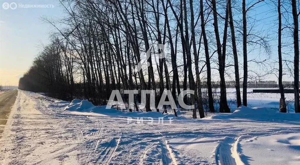 Участок в село Пушкино, Цветочная улица (15 м) - Фото 1