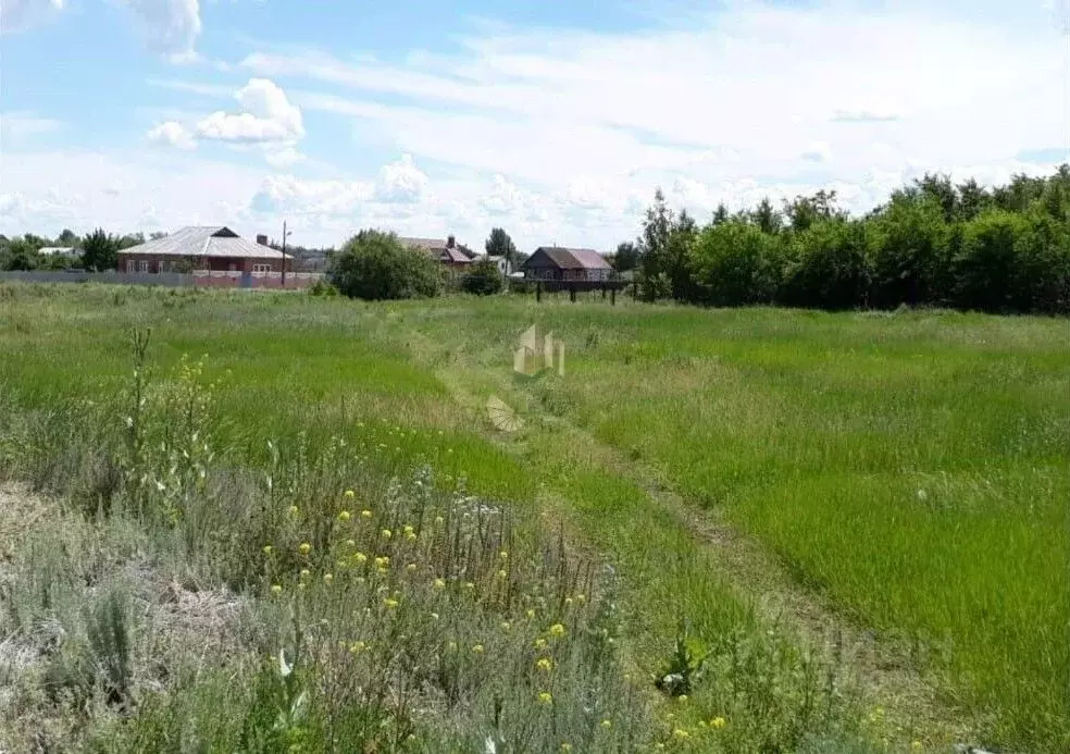 Участок заводском районе. Елшанка Новобурасского района. Участок 200 соток Елшанка. Деревня Елшанка Саратовская область Воскресенский район. Саратовская область Воскресенский район село Булгаковка.