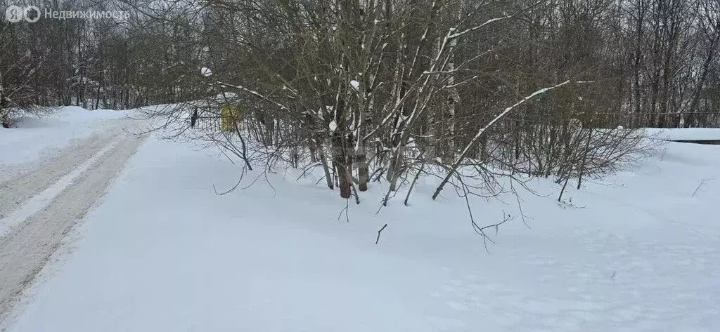 Участок в Московская область, Дмитровский муниципальный округ, деревня ... - Фото 2