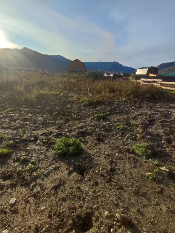 Участок в Алтай, Чемальский район, Элекмонарское с/пос, с. Элекмонар  ... - Фото 2