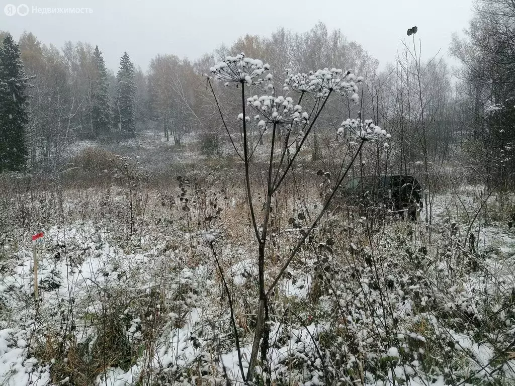Участок в Томский район, Богашёвское сельское поселение, деревня ... - Фото 1