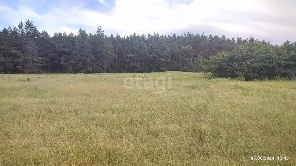 Участок в Белгородская область, Чернянский район, Волоконовское с/пос, ... - Фото 1