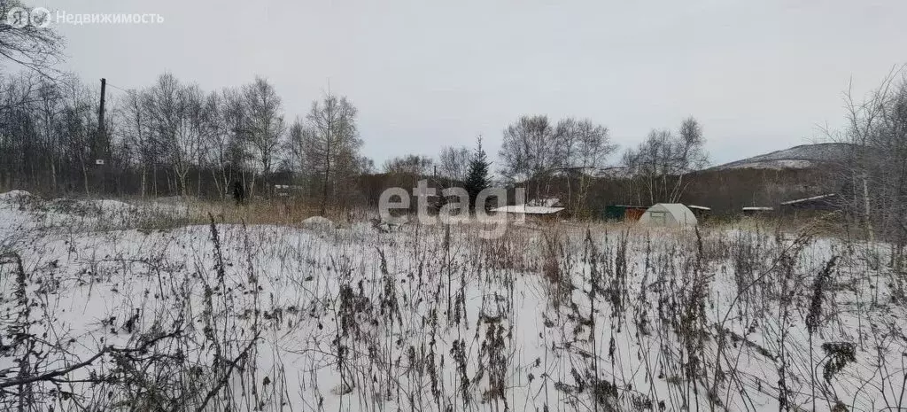 Участок в Камчатский край, межселенные территории Елизовского ... - Фото 1