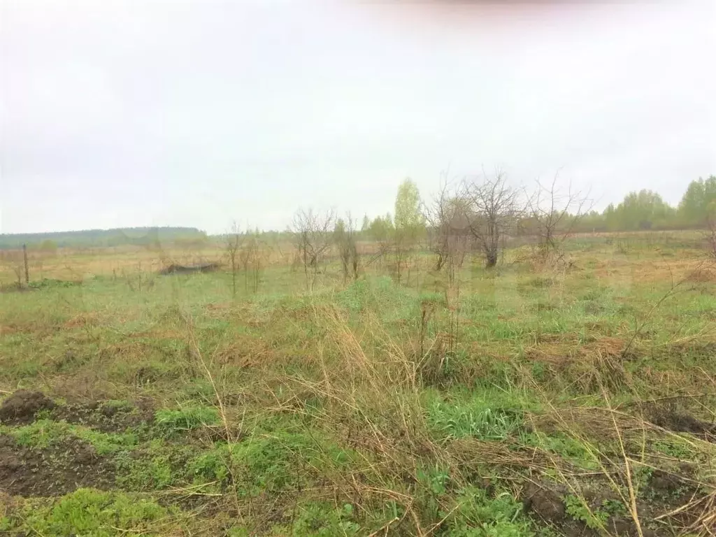 Участок 31 сот. (ИЖС) - Фото 0