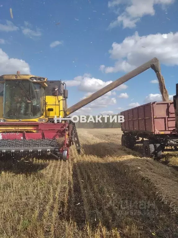 Участок в Новосибирская область, с. Баган ул. Ленина, 44 (1000000.0 ... - Фото 0