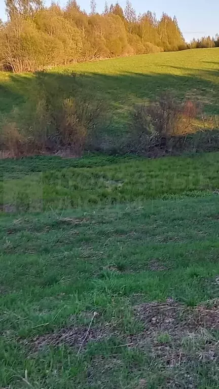 Участок в Новгородская область, Валдайский район, Короцкое с/пос, д. ... - Фото 2