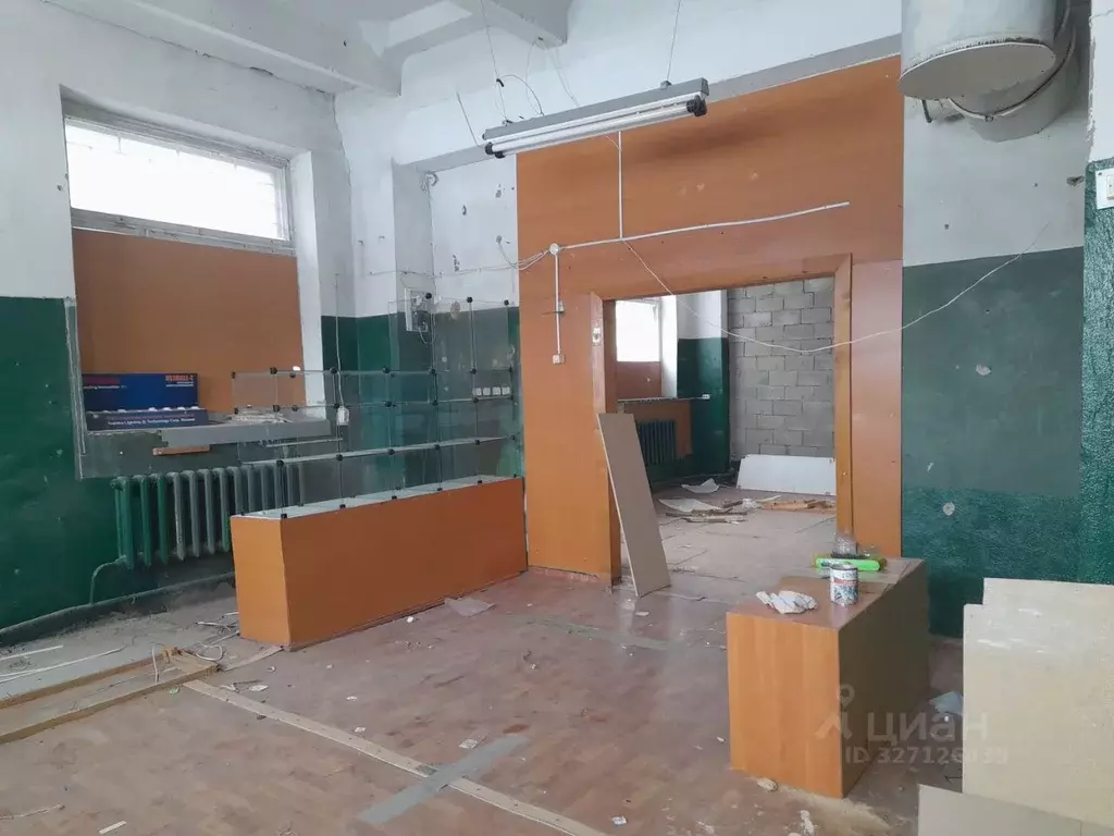 Помещение свободного назначения в Мордовия, пос. Ромоданово ул. ... - Фото 1