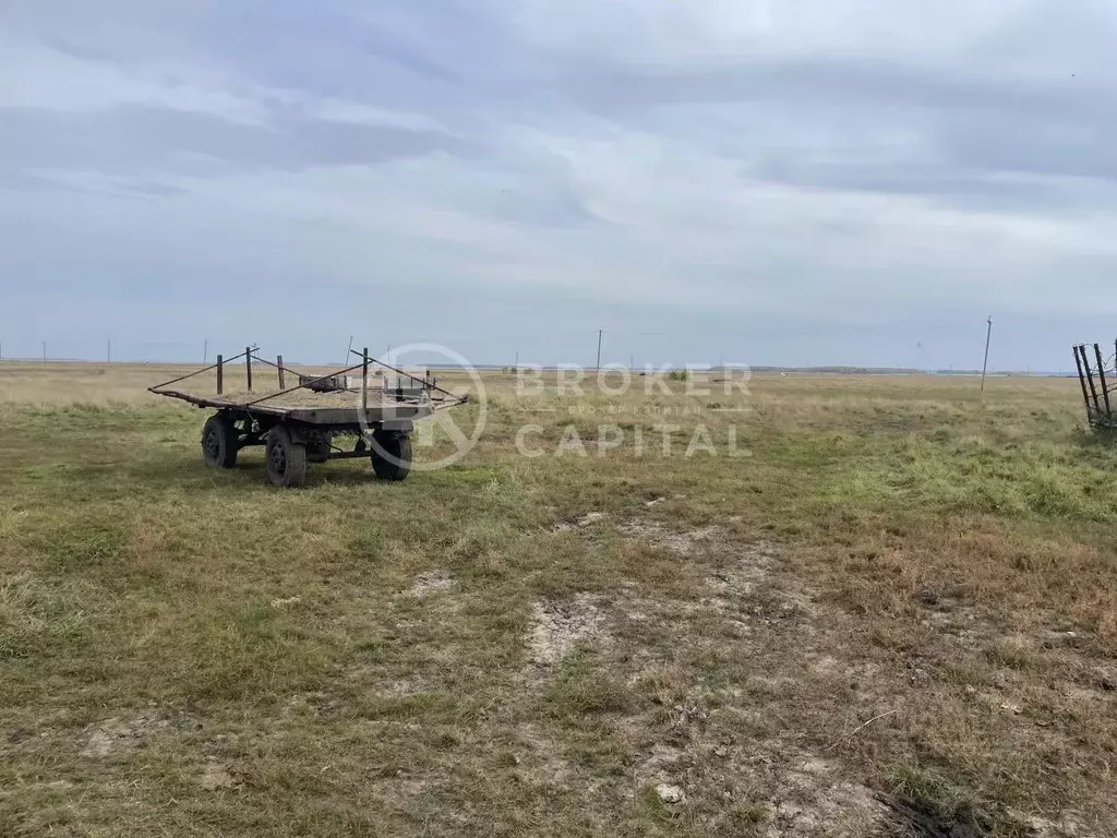 Участок в Новосибирская область, Ордынский район, с. Новопичугово ул. ... - Фото 1