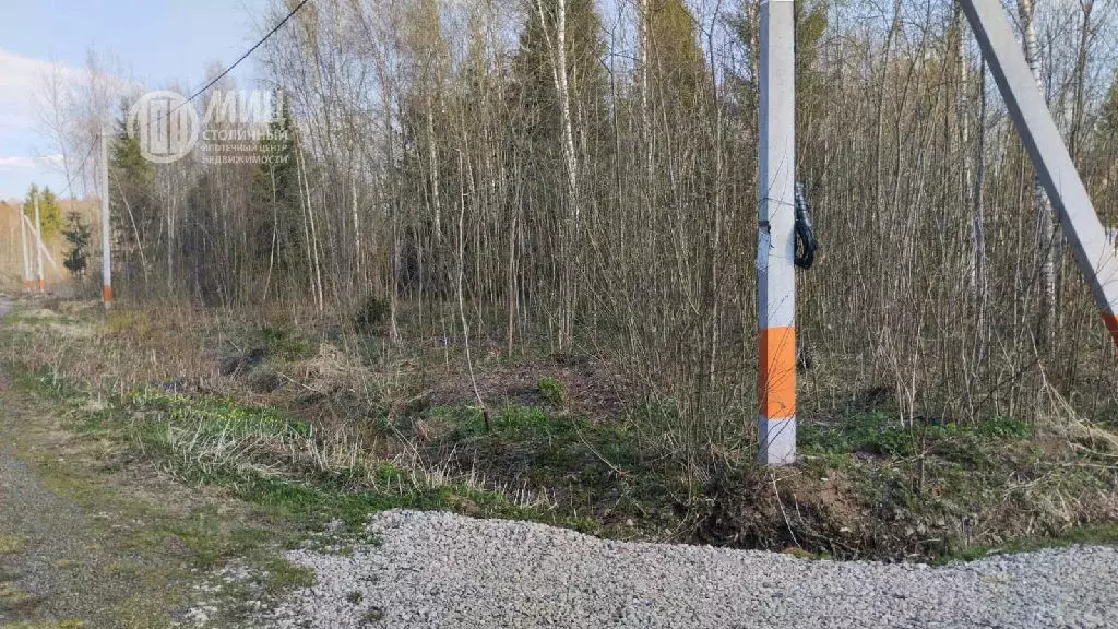 Продается участок в пос. Станции Мачихино - Фото 1
