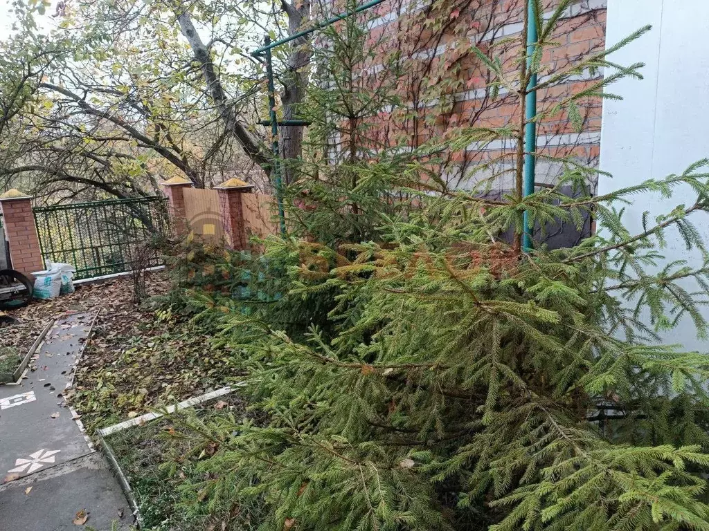 Дом в Ростовская область, Ростов-на-Дону Светлая ул., 25 (174 м) - Фото 2