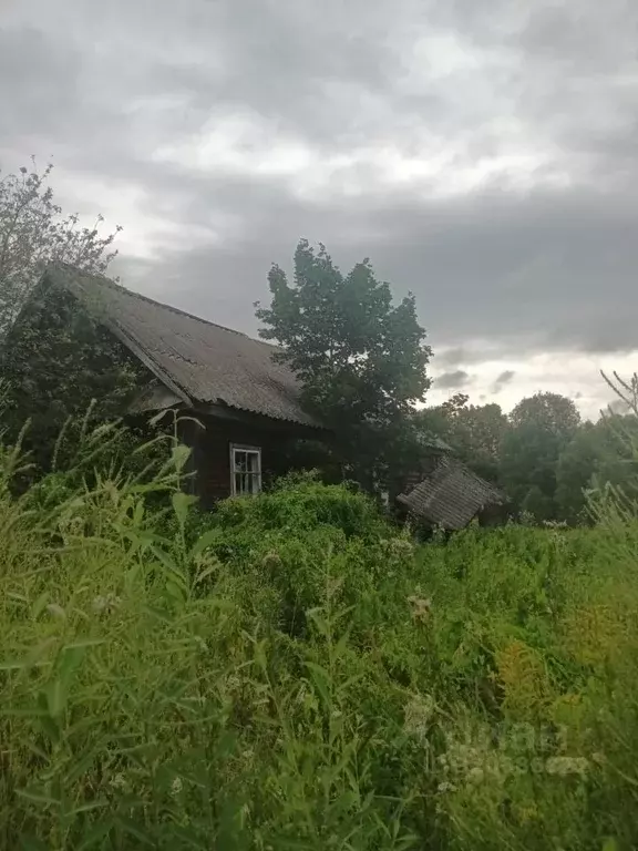 Дом в Новгородская область, Новгородский район, Савинское с/пос, д. ... - Фото 1