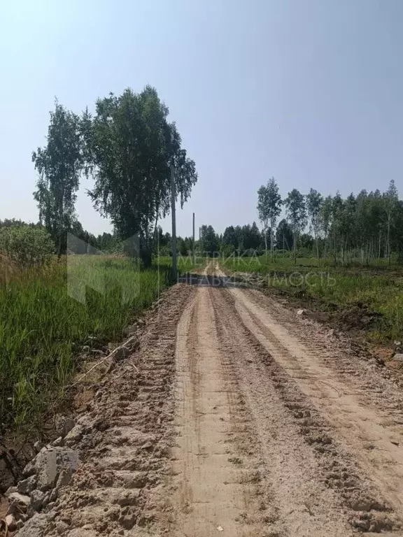 Участок в Тюменская область, Нижнетавдинский район, с. Тюнево  (8.0 ... - Фото 1