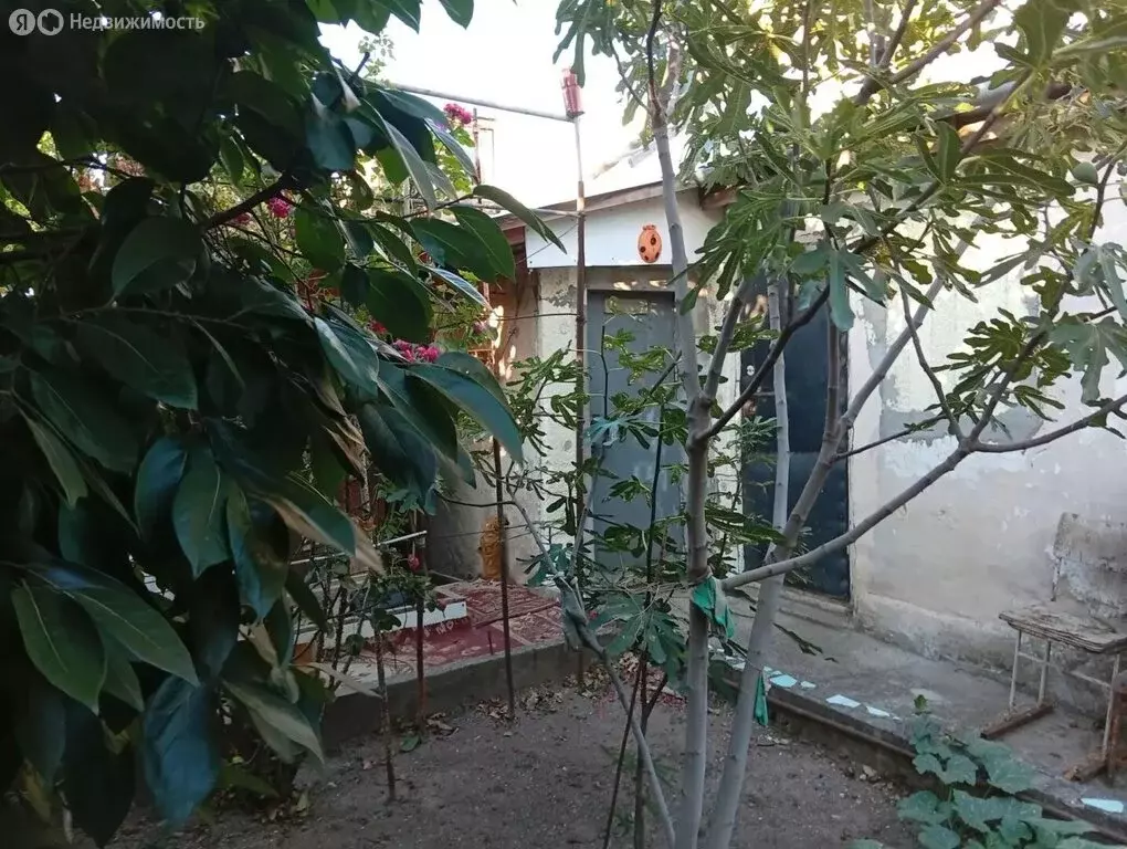 3-комнатная квартира: Симферополь, улица Бетховена, 48 (52 м) - Фото 1