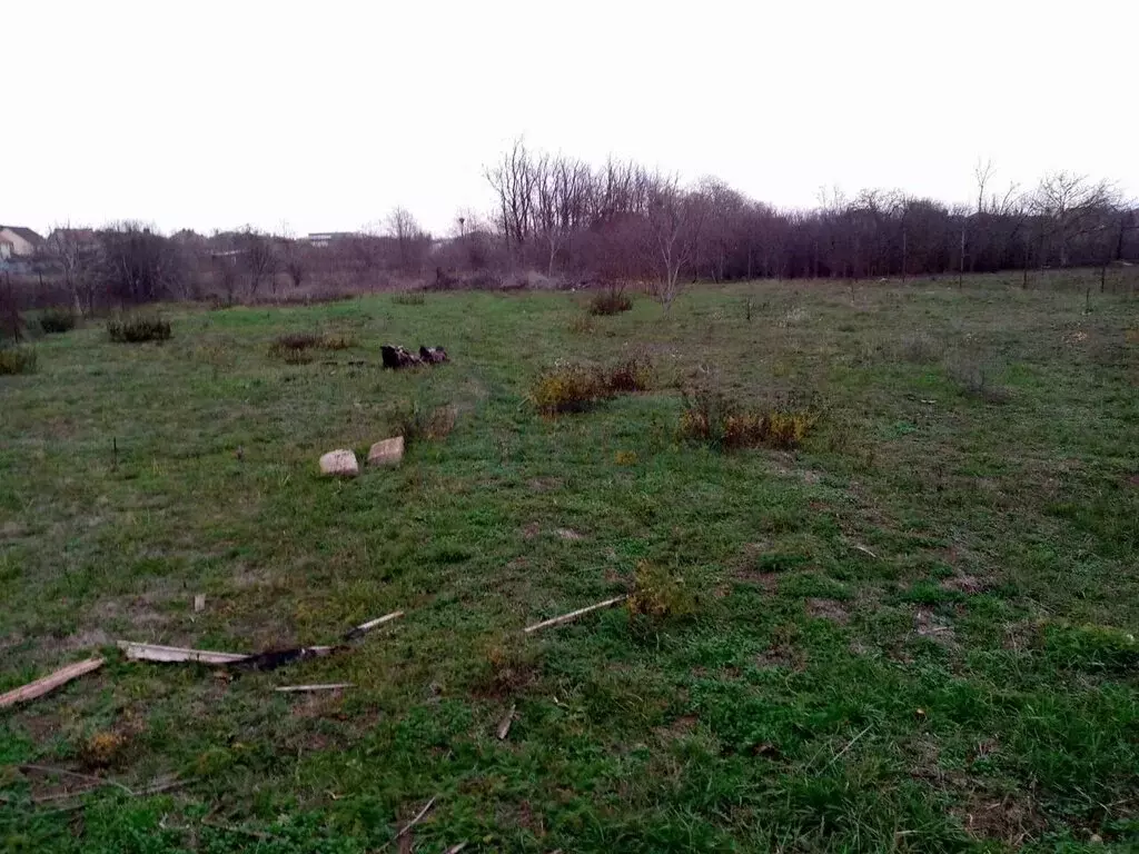 Участок в Мясниковский район, Чалтырское сельское поселение, ... - Фото 1