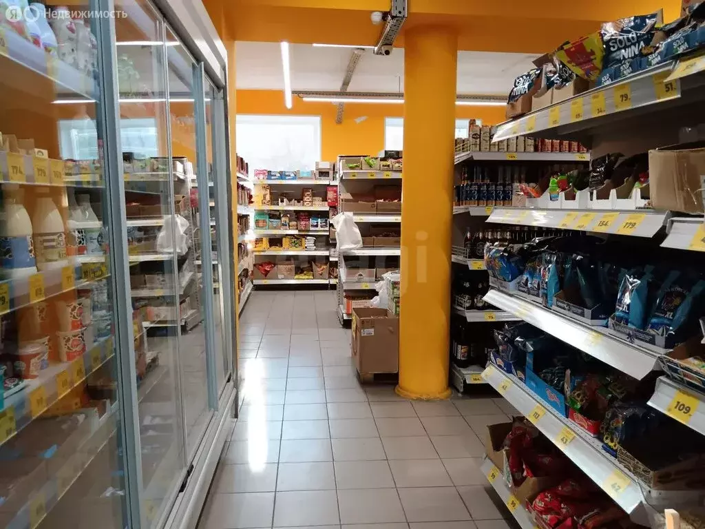 Торговая площадь (256.2 м) - Фото 1