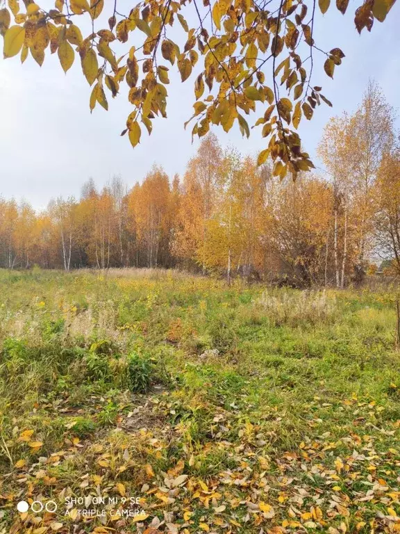 Участок в Ярославская область, Переславль-Залесский муниципальный ... - Фото 2