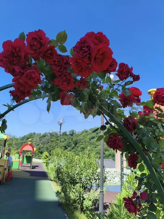 Квартира-студия, 24 м, 9/19 эт. - Фото 0