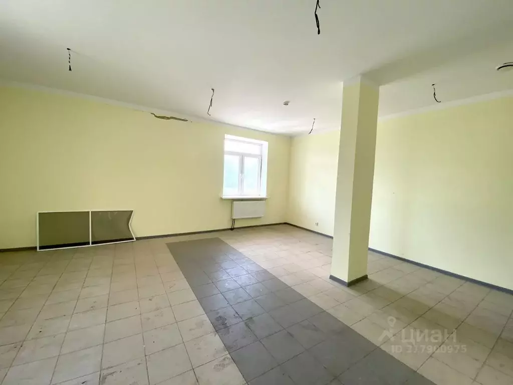 Офис в Калужская область, Калуга Николо-Козинская ул., 52 (102 м) - Фото 1