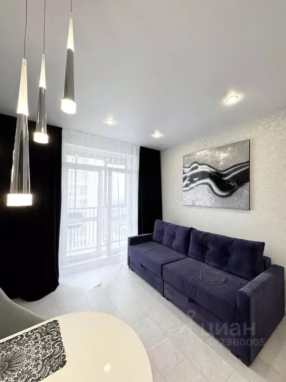 Студия Санкт-Петербург ул. Среднерогатская, 10к1 (25.9 м) - Фото 2