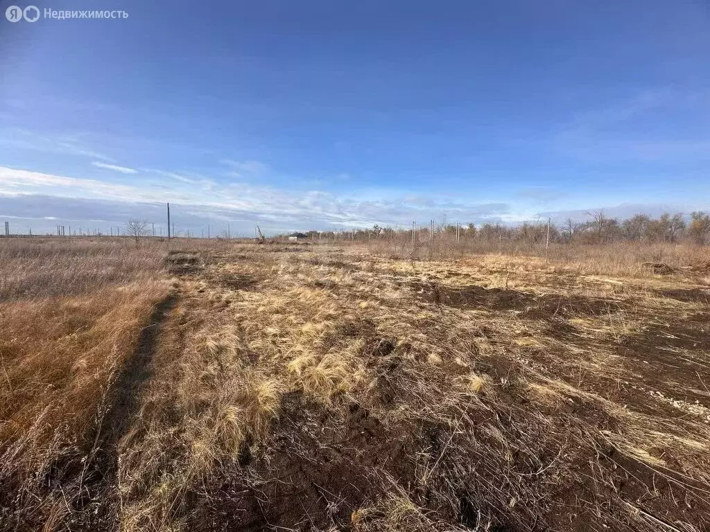 Участок в Оренбургский район, Ленинский сельсовет, коттеджный посёлок ... - Фото 2