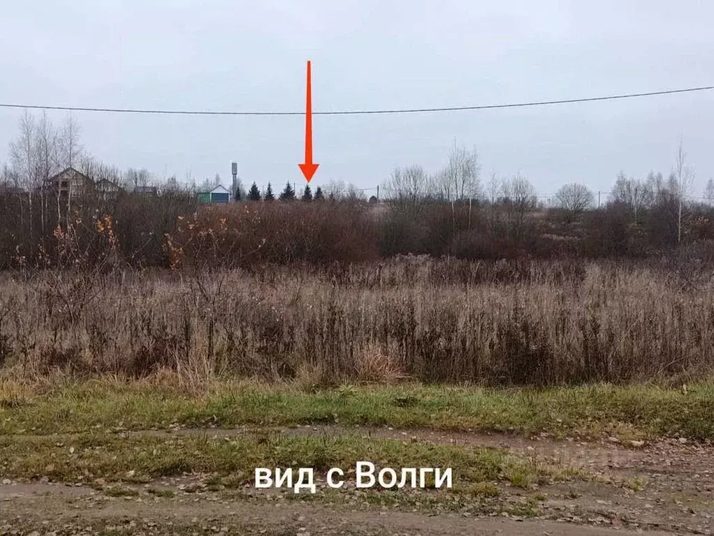 Участок в Ярославская область, Тутаевский муниципальный округ, с. ... - Фото 2