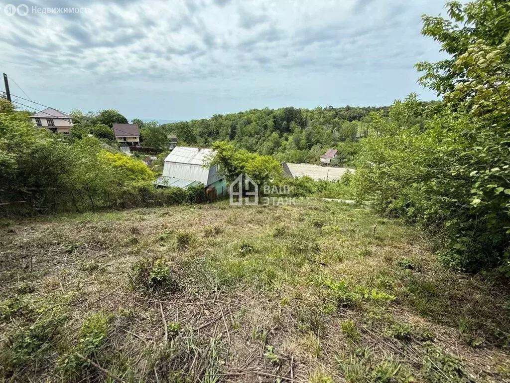 Участок в Сочи, садовое товарищество Черноморец (4.6 м) - Фото 1