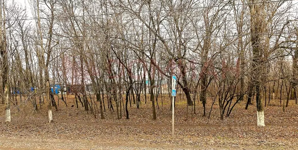 Участок в Ростовская область, Аксай ул. Авиаторов, 1 (300.0 сот.) - Фото 2