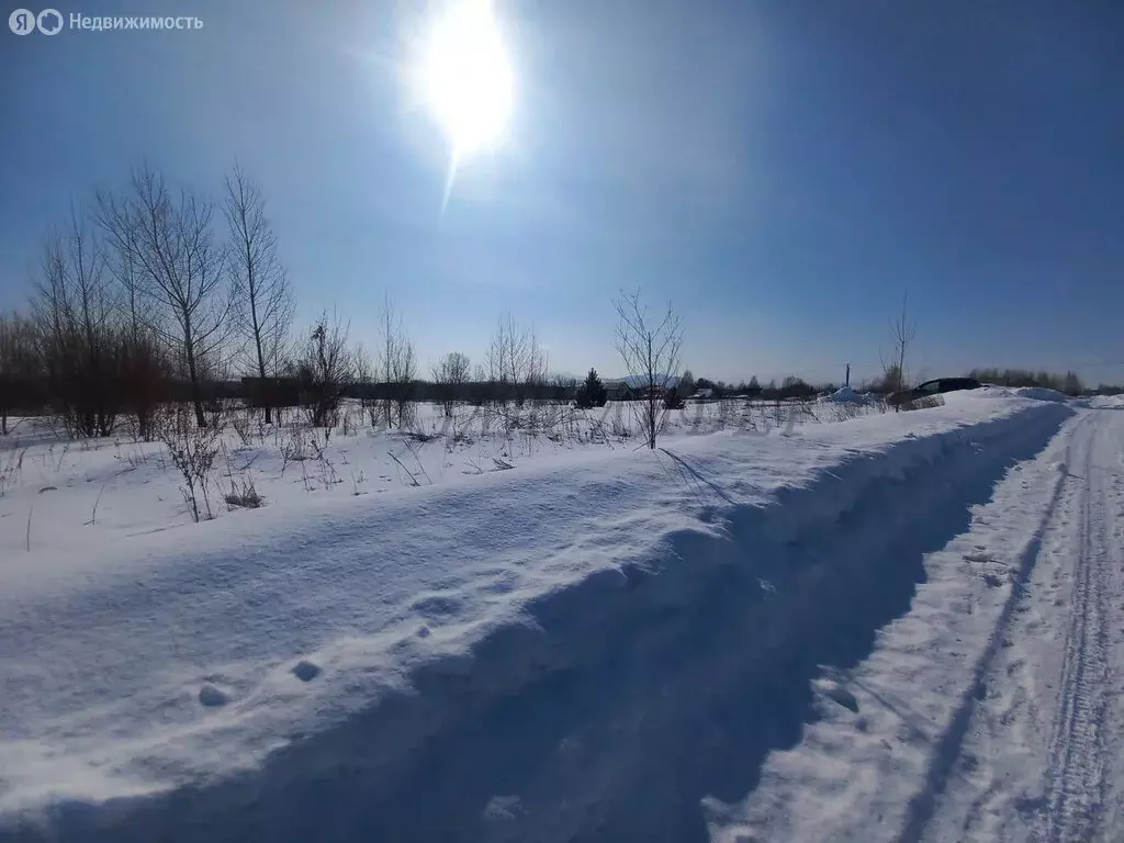 Участок в Майминский район, село Подгорное, Заречная улица, 46 (15 м) - Фото 2
