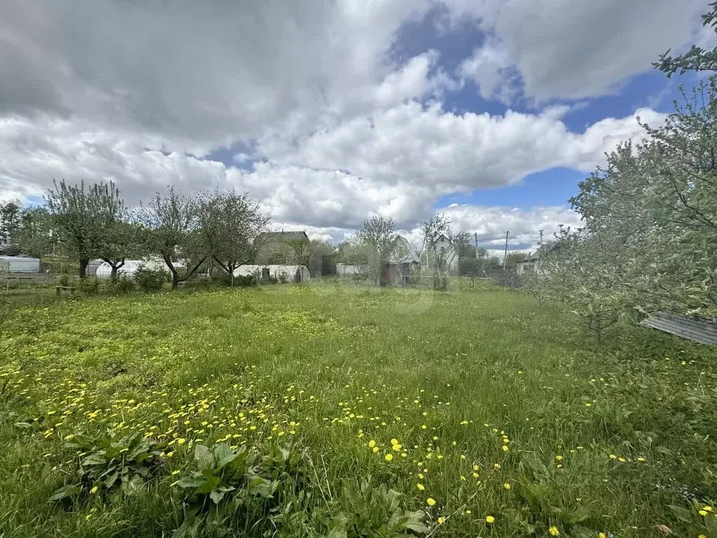 Участок в Брянская область, Брянский район, Мичуринское с/пос, ... - Фото 1