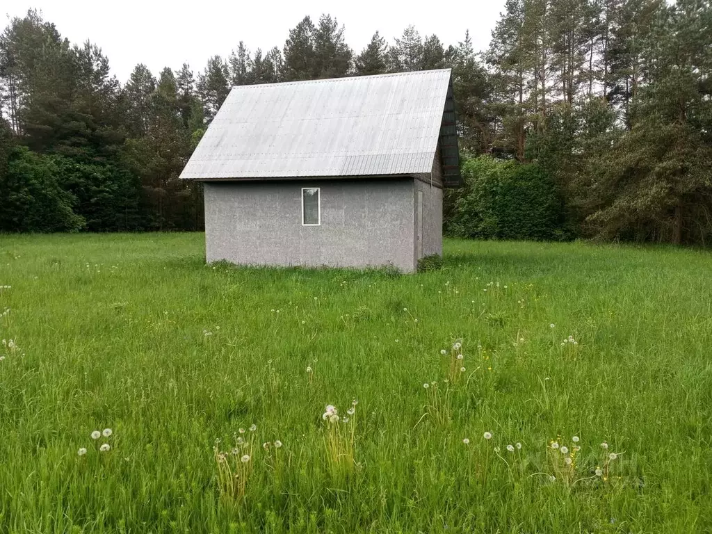 Дом в Новгородская область, Крестецкий муниципальный округ, д. Заречье ... - Фото 1