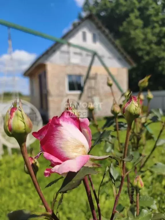 Участок в Калужская область, Калуга городской округ, д. Уварово уч62 ... - Фото 1