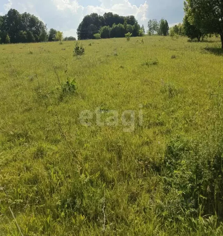 Участок в Брянская область, Брянский район, Чернетовское с/пос, с. ... - Фото 1