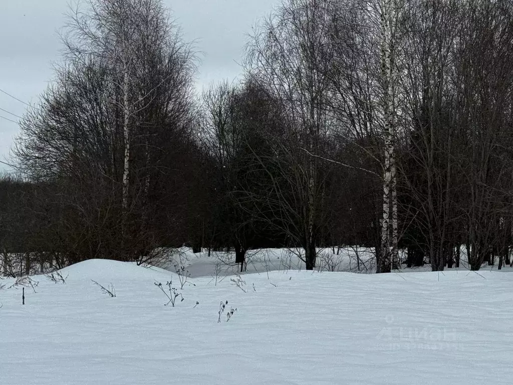 Участок в Московская область, Солнечногорск городской округ, д. ... - Фото 1