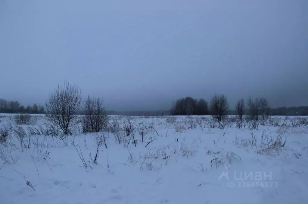 Участок в Московская область, Шаховская муниципальный округ, д. ... - Фото 2