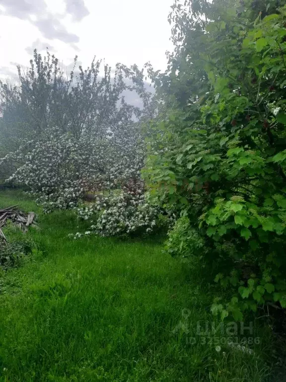 Участок в Ростовская область, Азовский район, Елизаветинская ст-ца ... - Фото 2