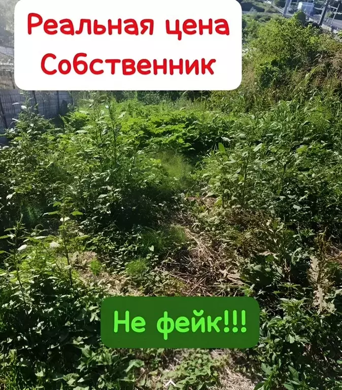 Участок в Краснодарский край, Сочи городской округ, с. Орел-Изумруд  ... - Фото 1