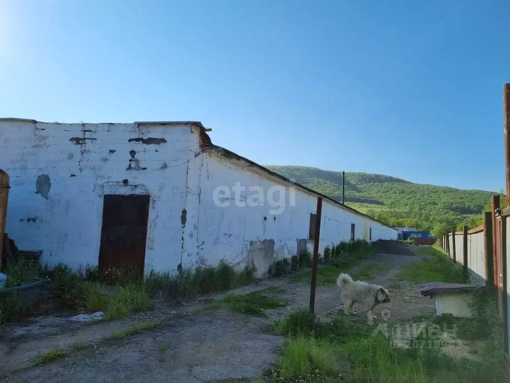 Помещение свободного назначения в Камчатский край, Елизово Садовый ... - Фото 0