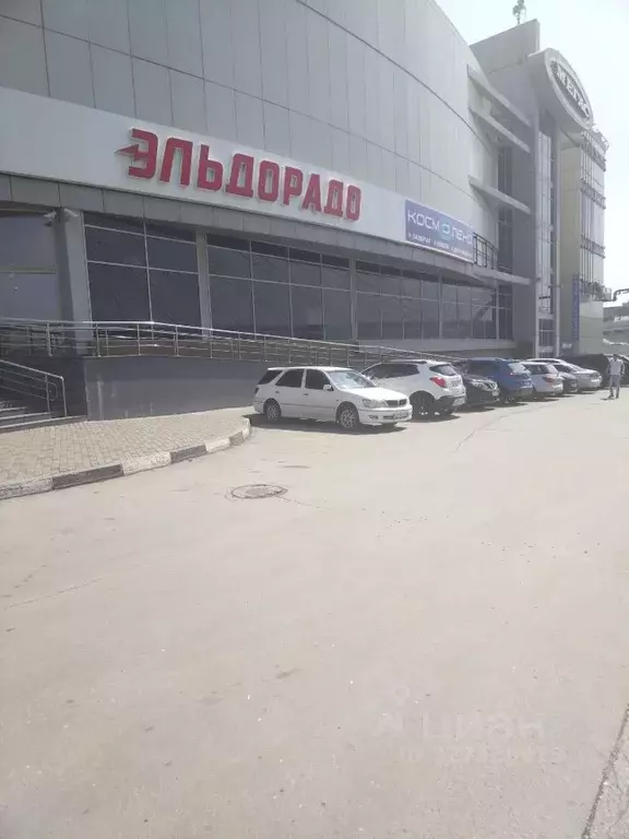 Торговая площадь в Новосибирская область, Новосибирск Красный просп., ... - Фото 2