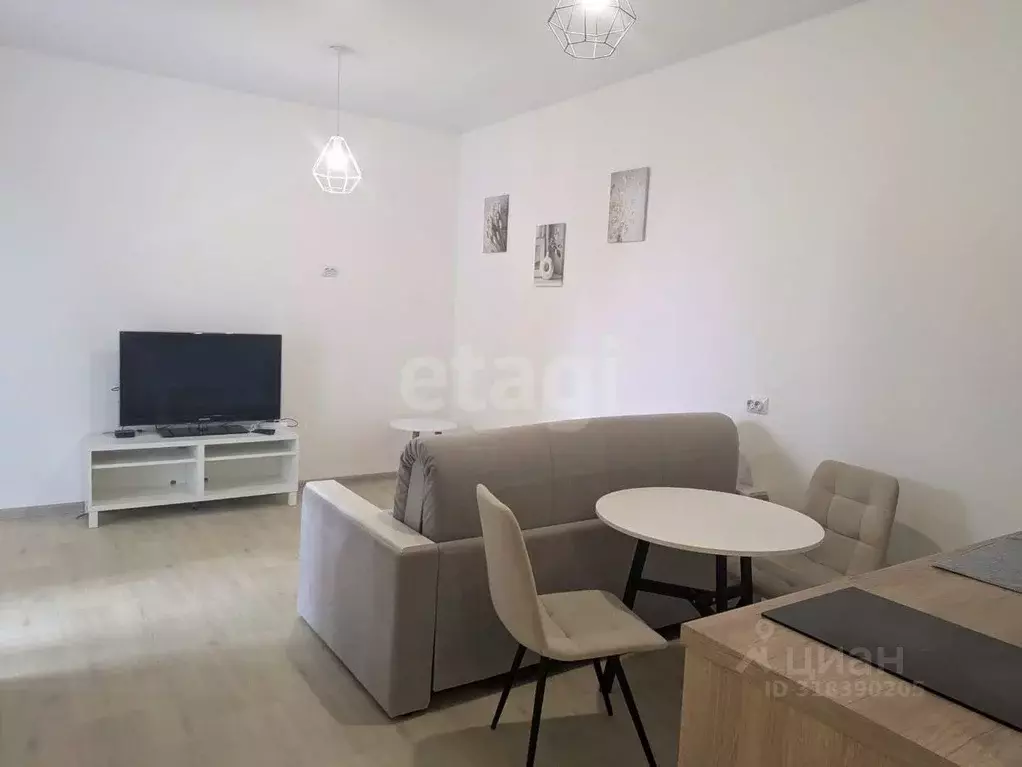 Студия Тюменская область, Тюменский район, с. Ембаево ул. Бульварная, ... - Фото 1