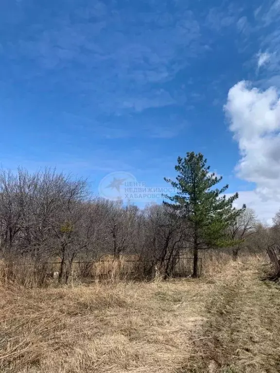 Участок в Хабаровский край, Хабаровск Урожай садовое товарищество, 113 ... - Фото 0