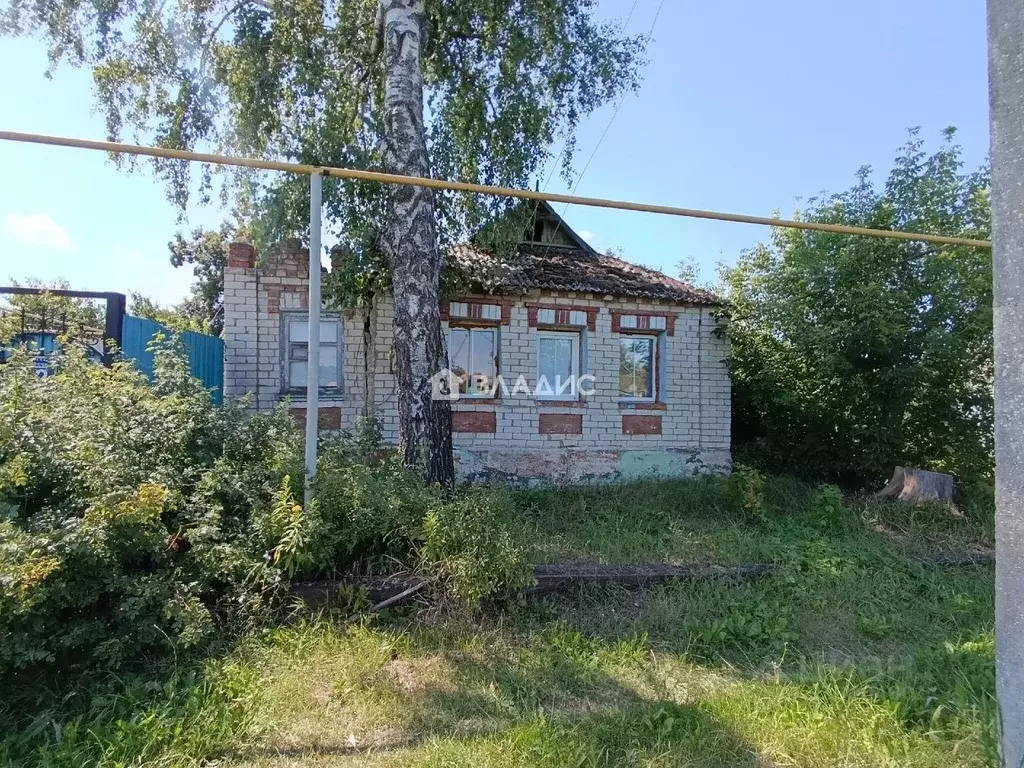 Дом в Белгородская область, Корочанский муниципальный округ, с. ... - Фото 1