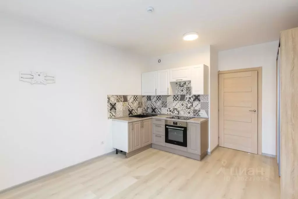 Студия Санкт-Петербург ул. Летчика Лихолетова, 14к3 (25.0 м) - Фото 1
