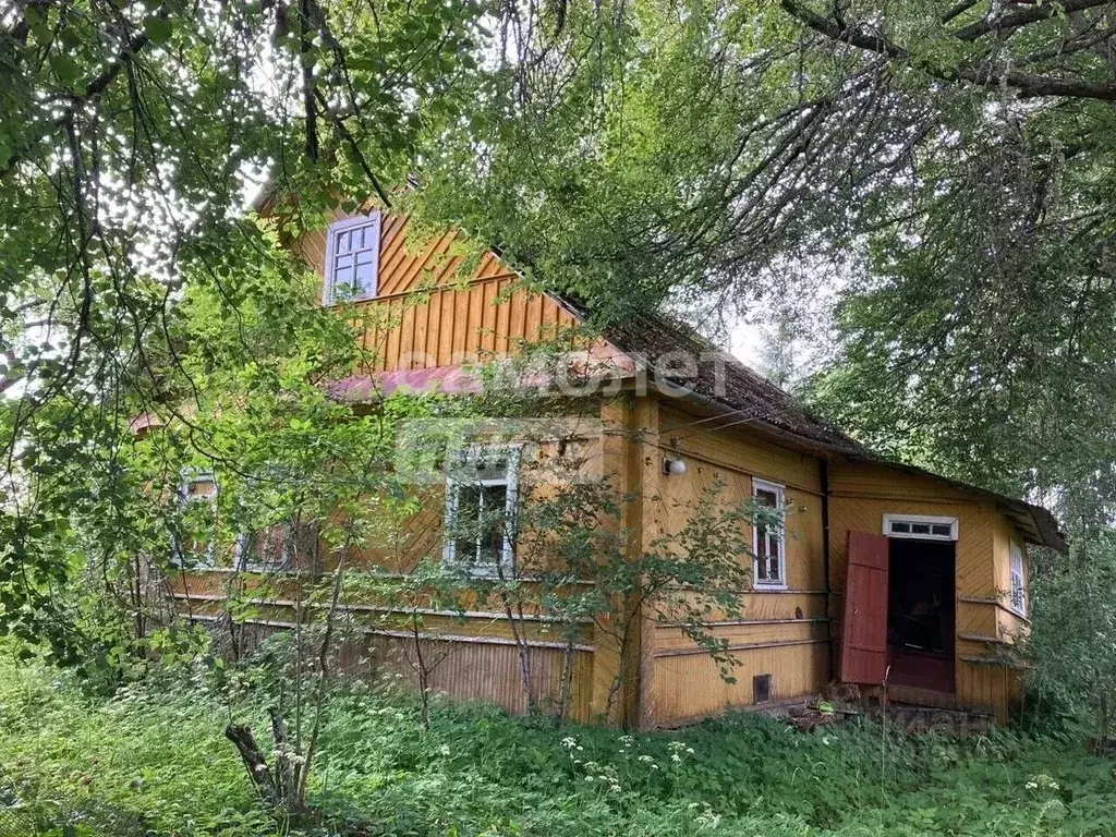 Участок в Псковская область, Плюсский муниципальный округ, д. Большое ... - Фото 1
