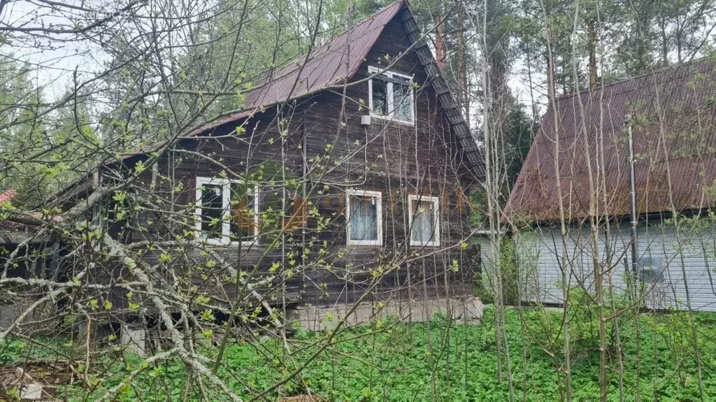Дом в Выборгский район, Рощинское городское поселение, территория ... - Фото 1