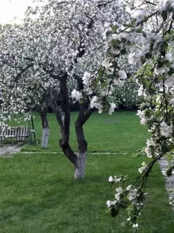 Продается дом в г. Видное - Фото 1