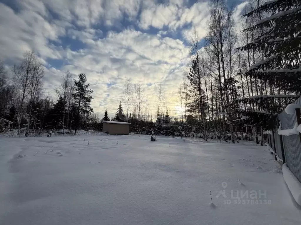 Участок в Ленинградская область, Гатчинский муниципальный округ, ... - Фото 1