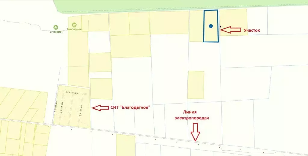 Участок в Ленинградская область, Кировское городское поселение, СНТ ... - Фото 1